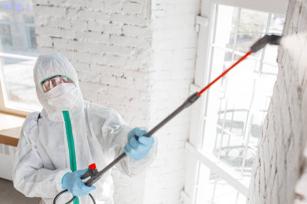 Best Asbestos and Lead Testing During Mold Inspection  in Frenchtown, NJ