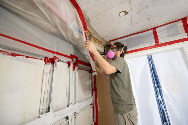 Best Post-Remediation Verification Testing  in Frenchtown, NJ