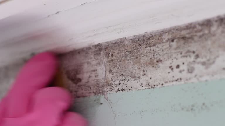 Best Residential Mold Inspection & Testing  in Frenchtown, NJ